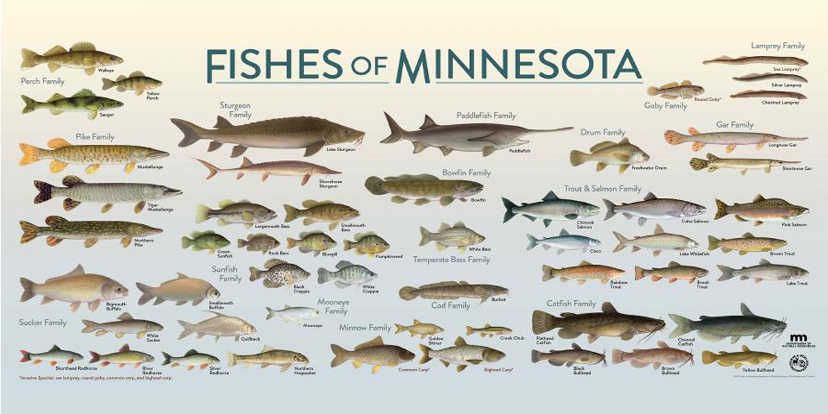 Fishing Supplies in Minnesota