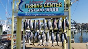 Fishing Supplies in Virginia
